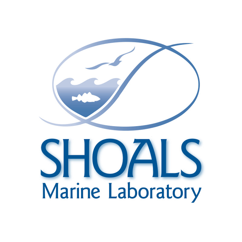 Shoals Marine Laboratory thumbnail