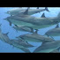 Gu4D-jZndqY-channel-avatar-Freedive101