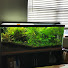 80IyWWd-IY8-channel-avatar-Ormson Aquarium Design