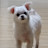 @김종윤-t8h