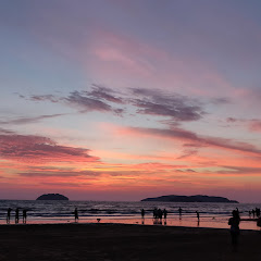 WaiWa Chauアイコン画像