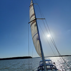 Sailing Intermission net worth