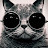 @davidgk9625's avatar