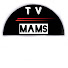 iBUHpIX6tLM-channel-avatar-TV mams