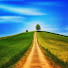 XxfdKz-vPrk-channel-avatar-Calea Îngustă