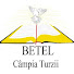 jgyb8rAqu_g-channel-avatar-betel campia turzii