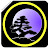 @twilightshadowclan8826