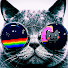 hL6Fx4cKOVM-channel-avatar-Mr Jaimito