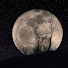 I5bSorSGqHE-channel-avatar-Adam W.