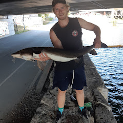C-rod Fishing Montreal