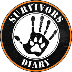 Логотип каналу Дневник Выжившего