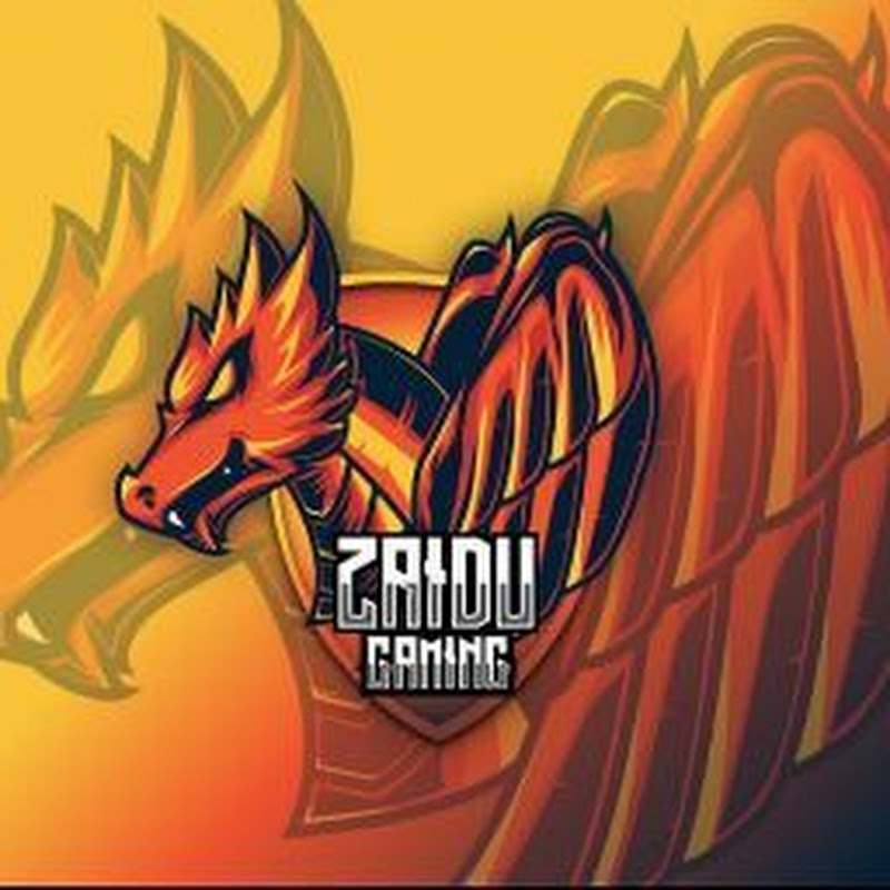 Zaidu gaming