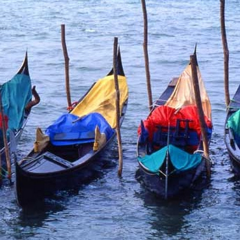 Violino d'Oro