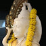 -RORz6vXOSo-channel-avatar-Chinmaya Orlando