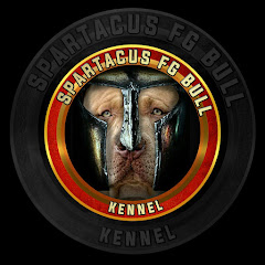 Spartacus FG Bull channel logo