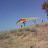 bhupinderparamotor