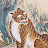 @user-wt2vz8so6o