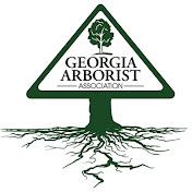 Georgia Arborist
