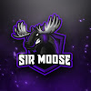 What could Sir Moose Gaming buy with $175.8 thousand?