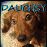 u0yARjfPRE8-channel-avatar-Dauchsy