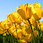 @abcd1234-g4y