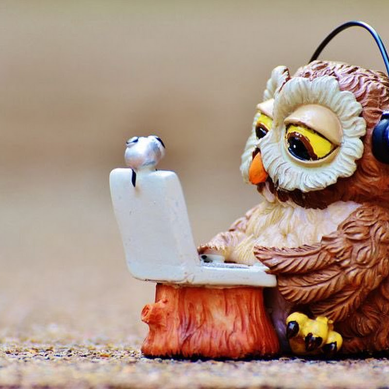 数分で分かる歴史【History Studio】のサムネイル