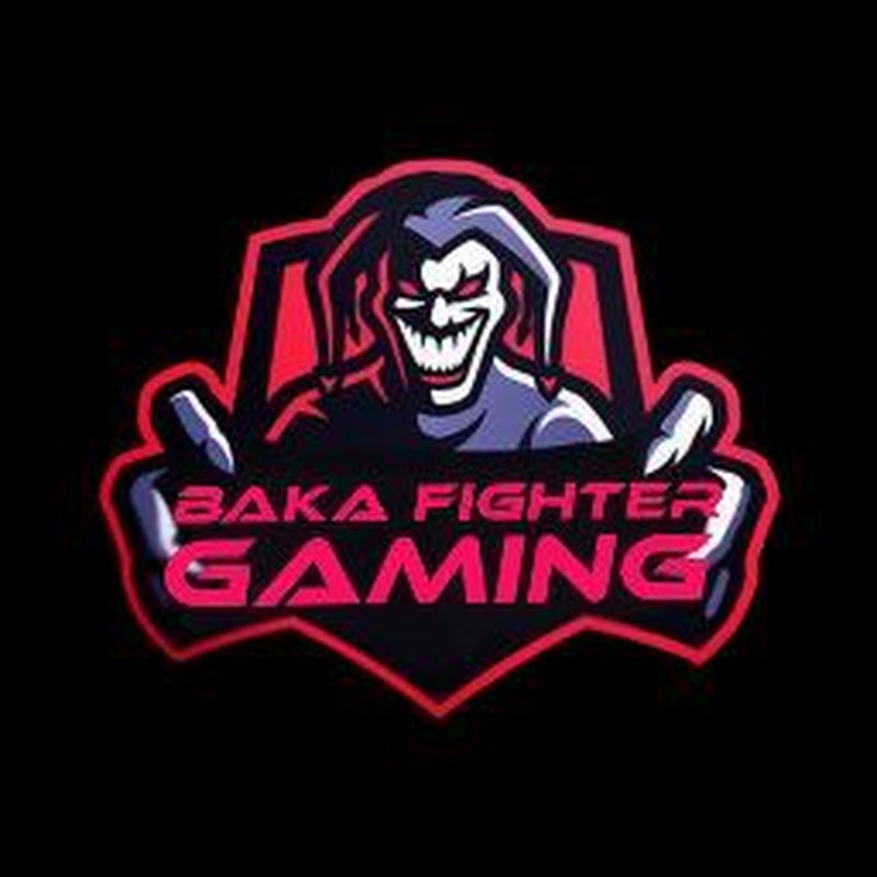 Baka Fighter Gaming