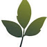 pvtlMgZrKcs-channel-avatar-Be Truly Well Integrative Health Center & Med Spa