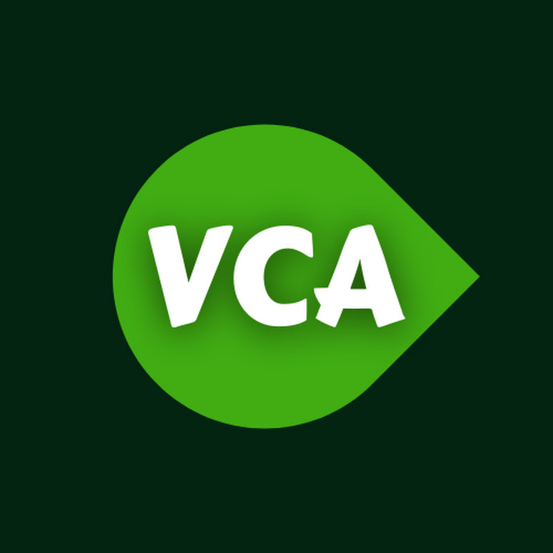 Vijay Commerce Academy