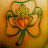 @fritty9927