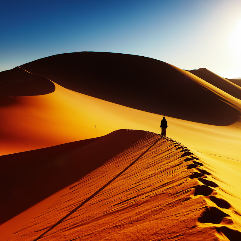 Dune Games