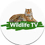 wildlife TV logo
