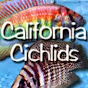 CaliforniaCichlids logo