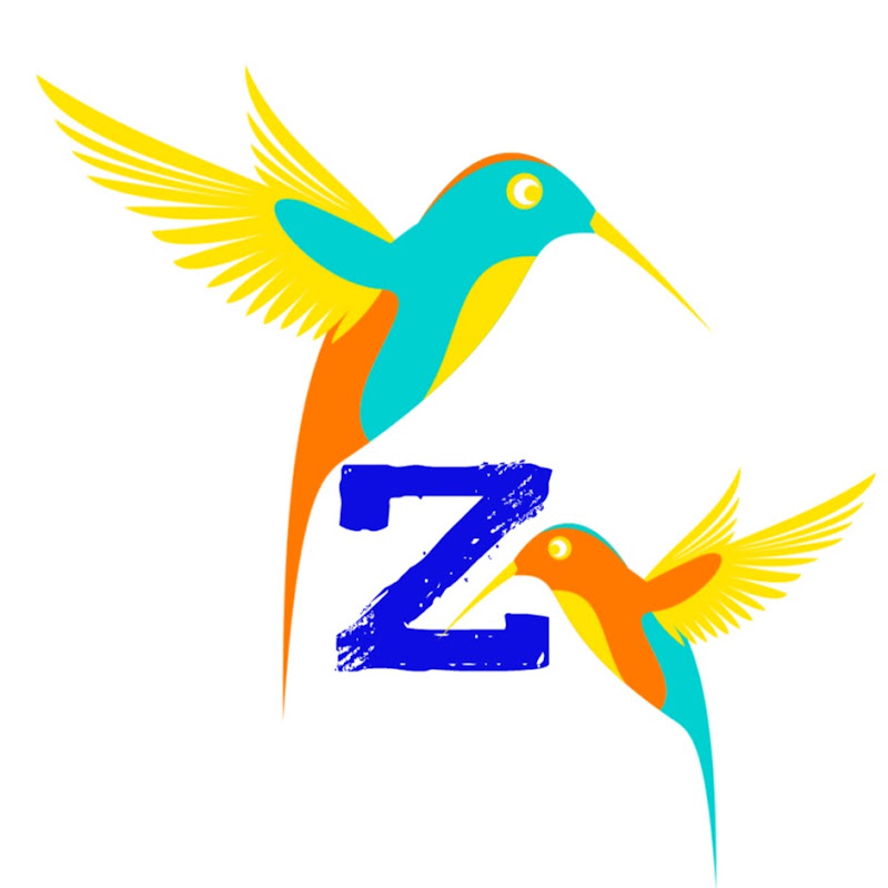 Zee Movies & Music Company