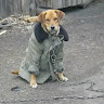 Автор