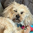 @williamharrison1283's avatar