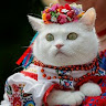 Автор
