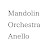 Mandolin Orchestra Anello