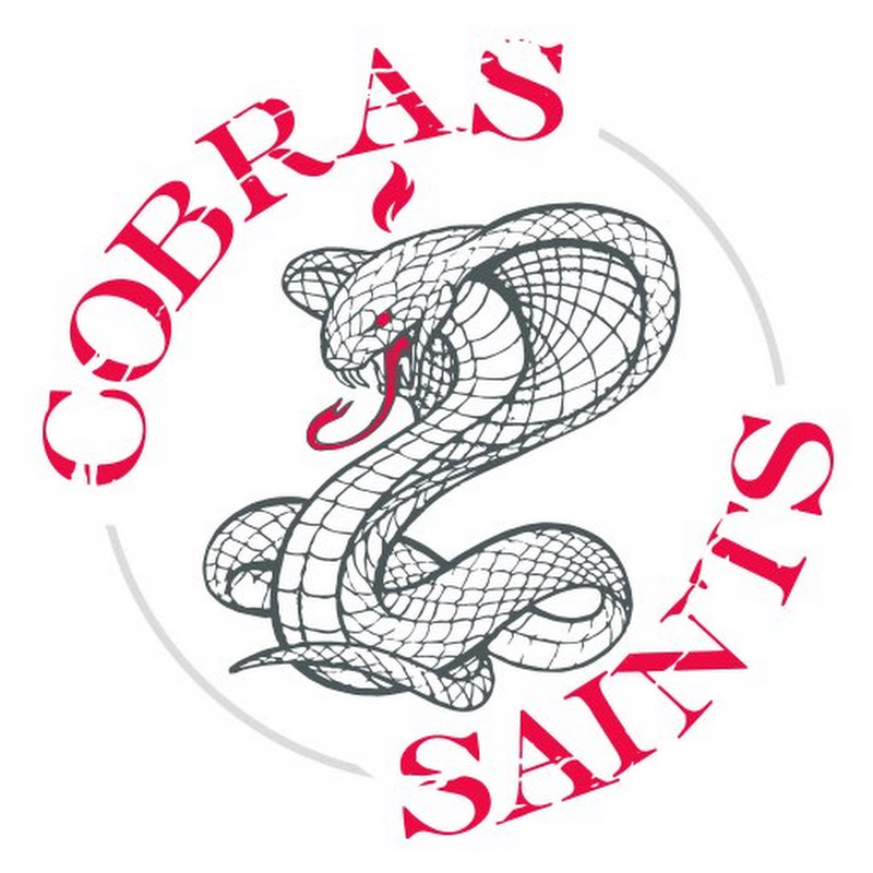 Foto de Cobras N Saints