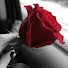 ZFEtQQOfrho-channel-avatar-منوعات منال