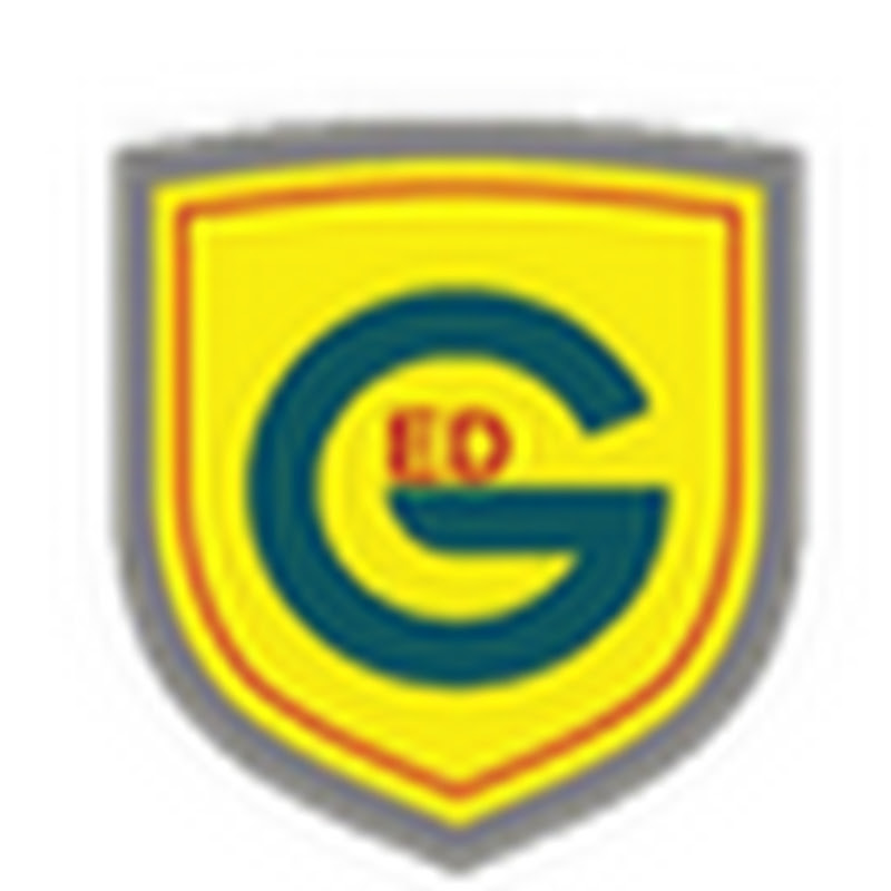 Gedvision