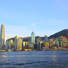 新扎师兄アイコン画像