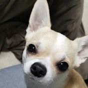 いとっちゃんねる