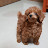 @My_little_universe.