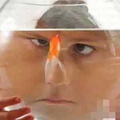 Mia's Tank 米娅养鱼アイコン画像