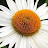 @mmypainting's avatar