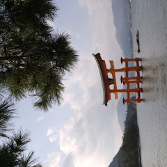 ベリパパるりん