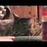 GIdqbZpeQN0-channel-avatar-Maximilian Sieg