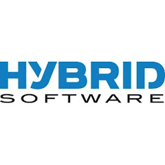 HYBRID Software net worth