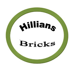 Hillians Bricks net worth